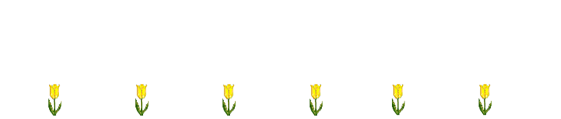 Bannieres  tulipes
